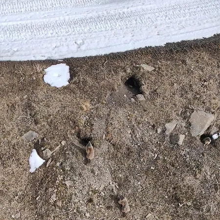 Rénové Piscine Balcons De Sirius Appartement Risoul